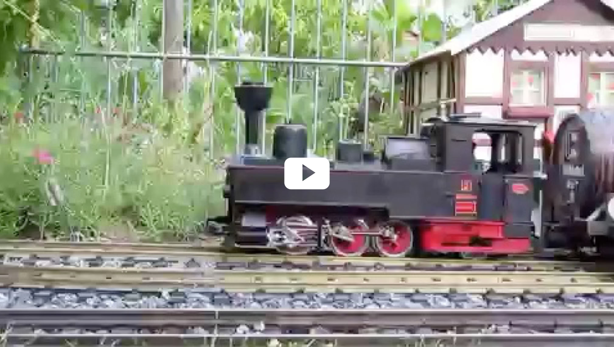 Video Video abspielen